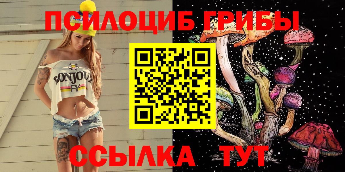 Галлюциногенные грибы Magic Shrooms Курск