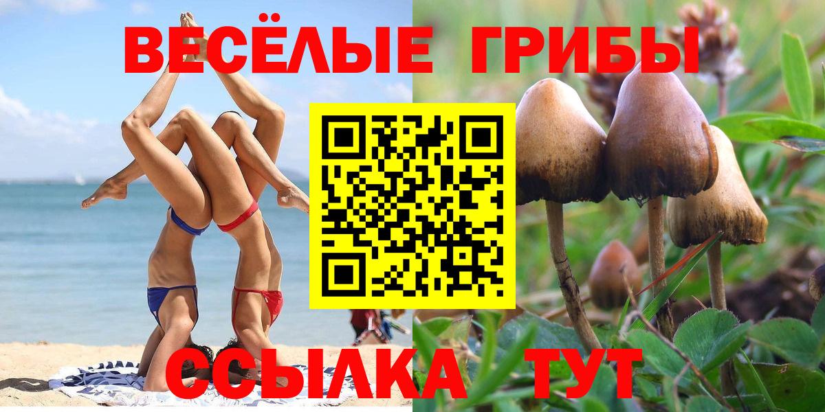 Псилоцибиновые грибы Cubensis  Псилоцибиновые грибы ЛСД  Вход с VPN  Курск 